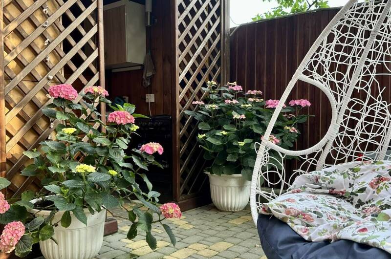 Гостевой дом «Зеленый мир»