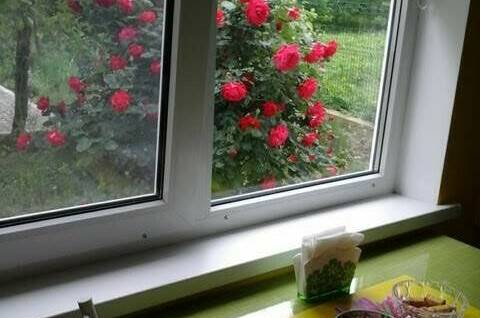 Гостевой дом «Два ясеня»