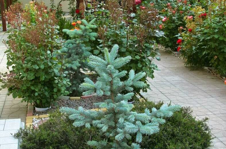 Гостевой дом «Аритэль»