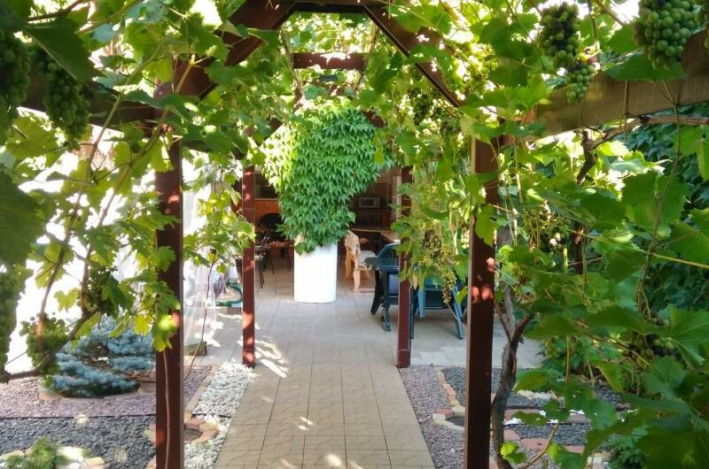 Гостевой дом «Аритэль»