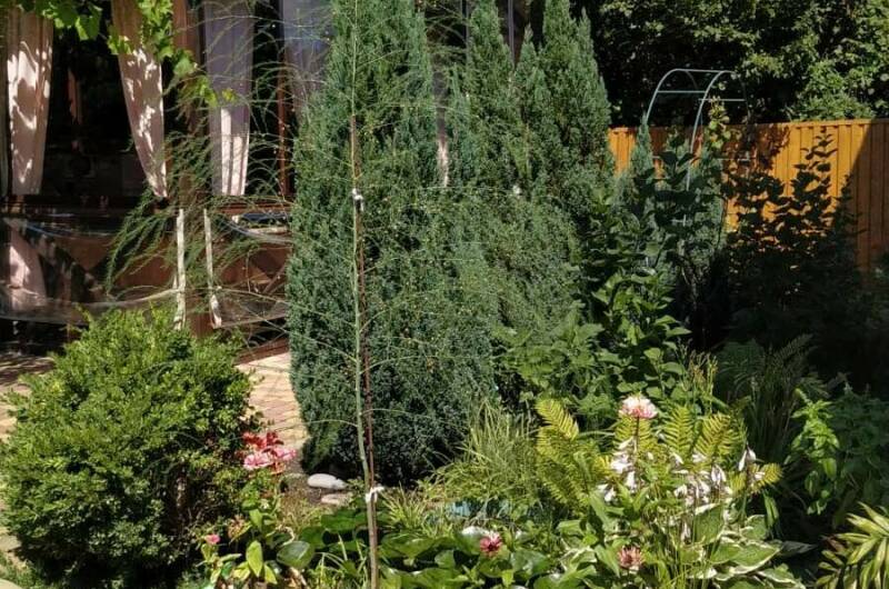 Гостевой дом «Киш-Миш»