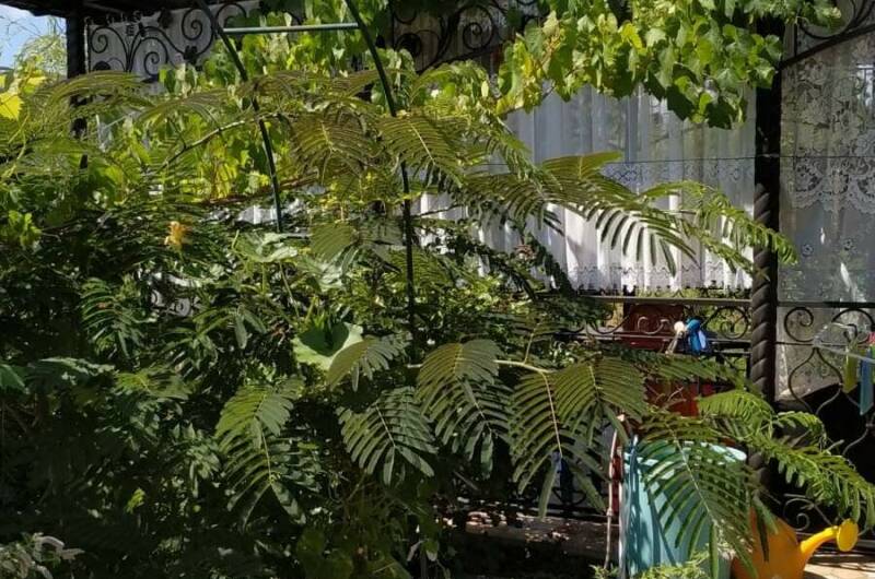 Гостевой дом «Киш-Миш»