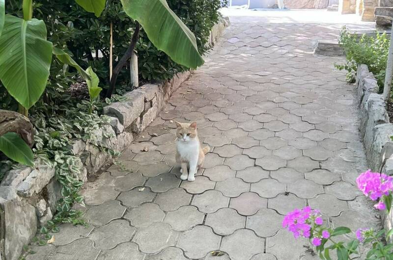 Апартаменты на Школьной