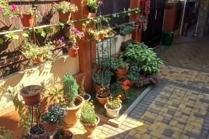 Изображение Частное домовладение «Курорт» #5