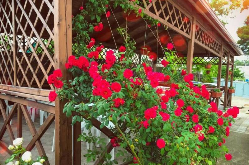 Частный дом на Тельмана