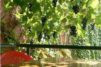 Гостевой дом «На Магнитной 6»