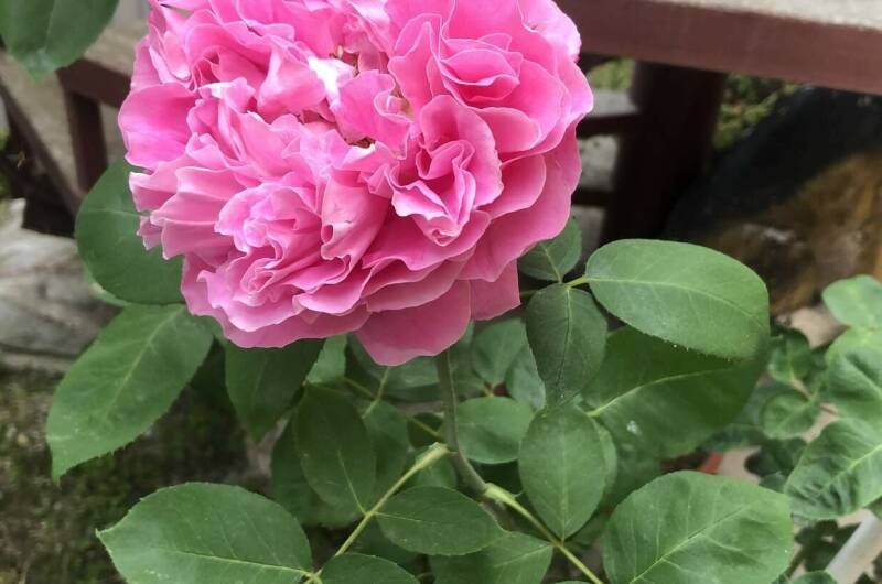 Частное домовладение «Уютный дом»