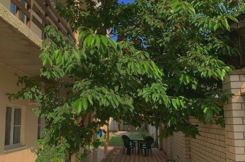 Гостевой дом «Наше Лето»