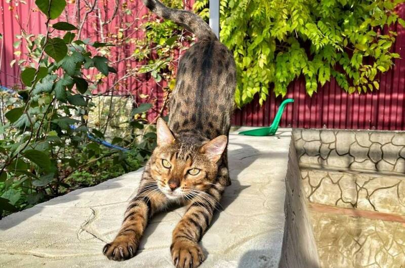 Гостевой дом «на Черноморской»