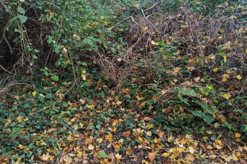 Апартаменты «Дом солнца»