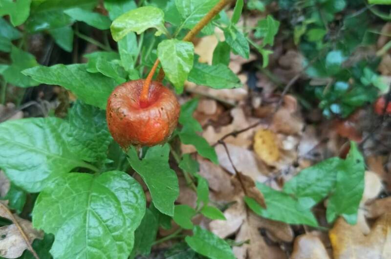 Апартаменты «Дом солнца»