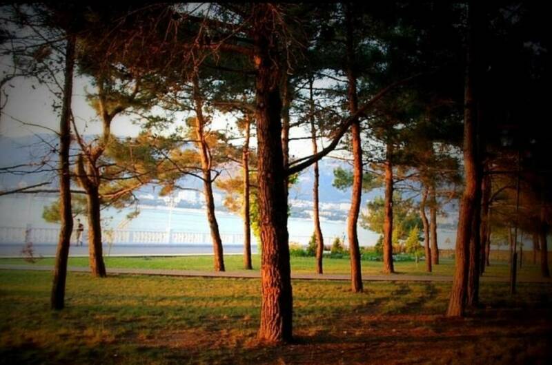 Двухкомнатная квартира с видом на море