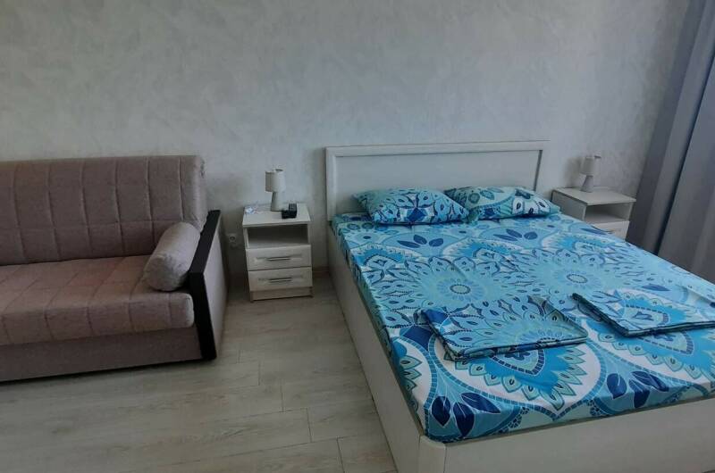 Однокомнатная квартира на Революционной