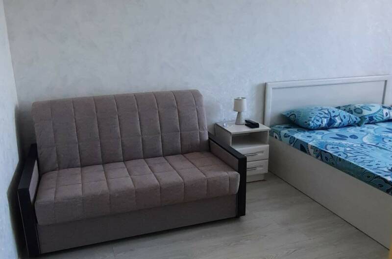 Однокомнатная квартира на Революционной