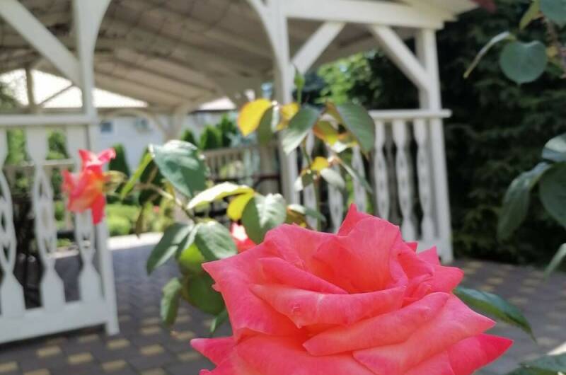 Гостевой дом «Диана»