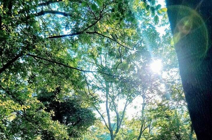 Гостевой дом «Диана»