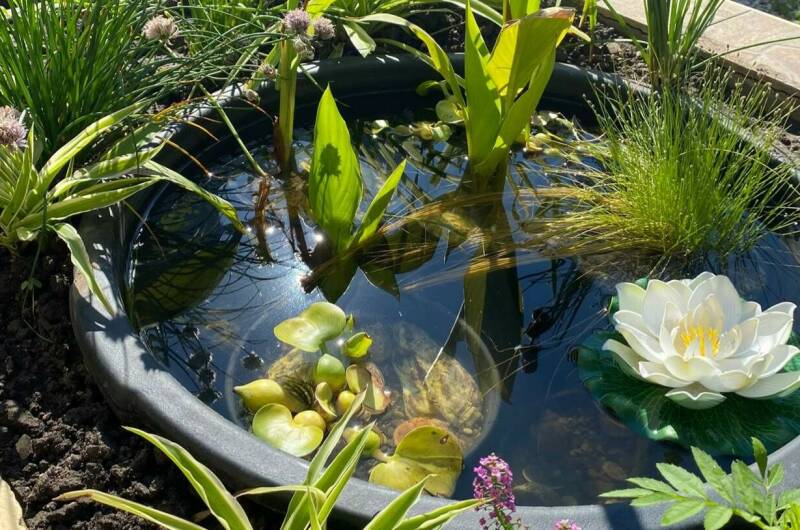 Частный сектор на Ленина 29/4