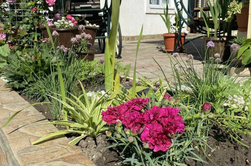 Частный сектор на Ленина 29/4