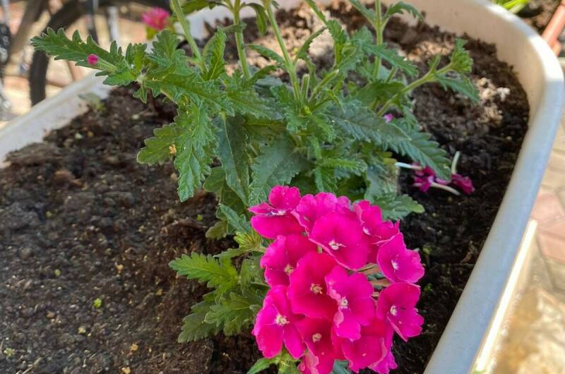 Частный сектор на Ленина 29/4