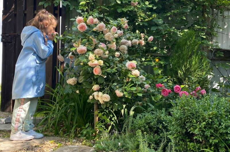 Частный дом «Море-Лето»