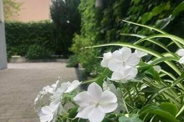 Вилла «Villa-Flora»