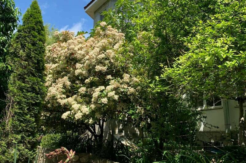 Гостевой дом «Рассвет»