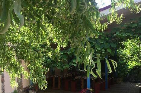 Гостевой дом «Рассвет»