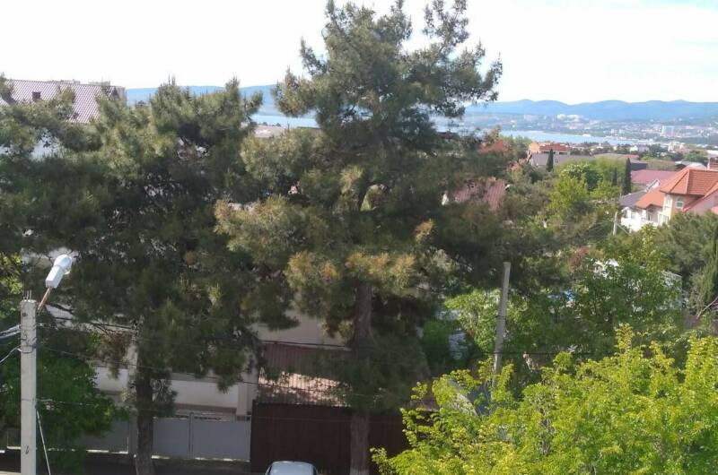 Однокомнатная квартира на Совхозной