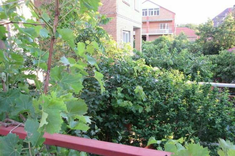 Гостевой дом на Октябрьской