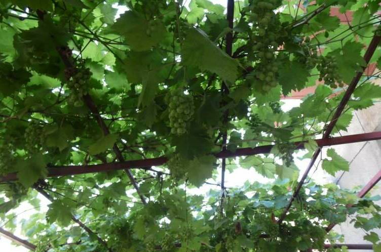 Гостевой дом на Октябрьской