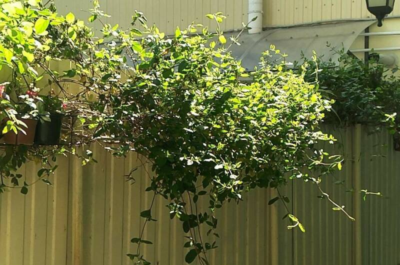 Частный сектор на Кирова