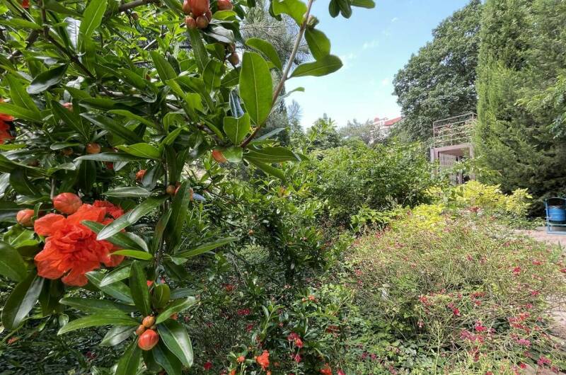 Коттедж под ключ с питанием на 8 человек