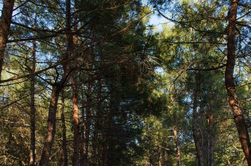 Гостевой дом «Надежда у моря»