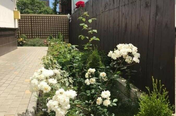 Гостевой дом «Палладион»