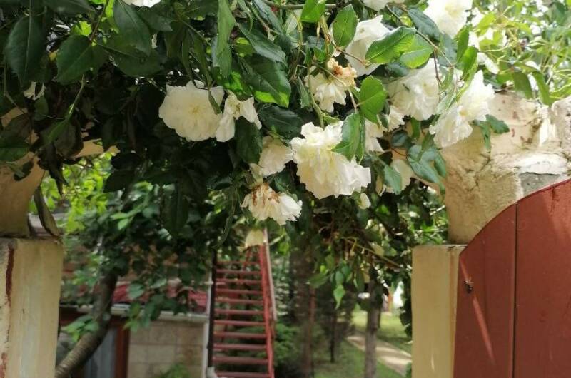 Гостевой дом «Прованс»