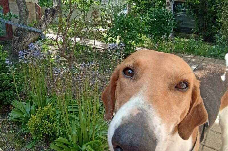 Гостевой дом «Прованс»