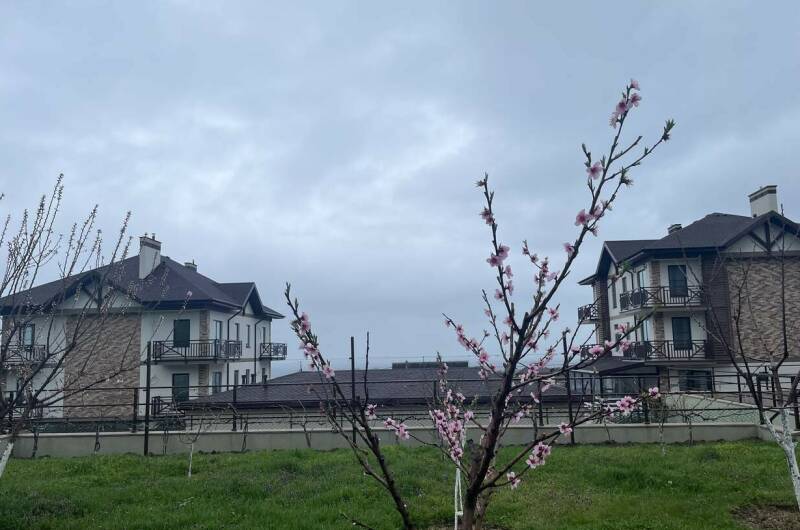 Гостевой дом «Буджак»