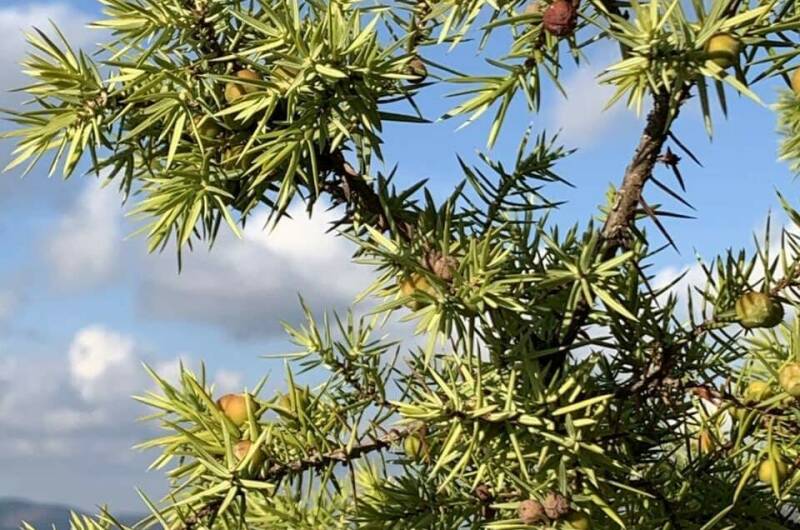 Гостевой дом «Краски Черного моря»