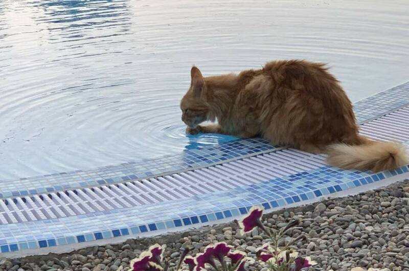 Гостевой дом «Краски Черного моря»