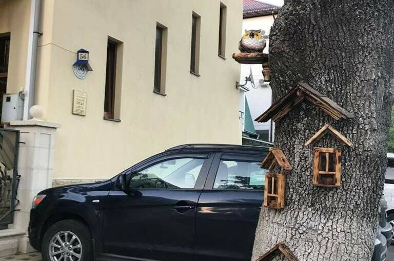 Гостевой дом «Золотой Пегас»