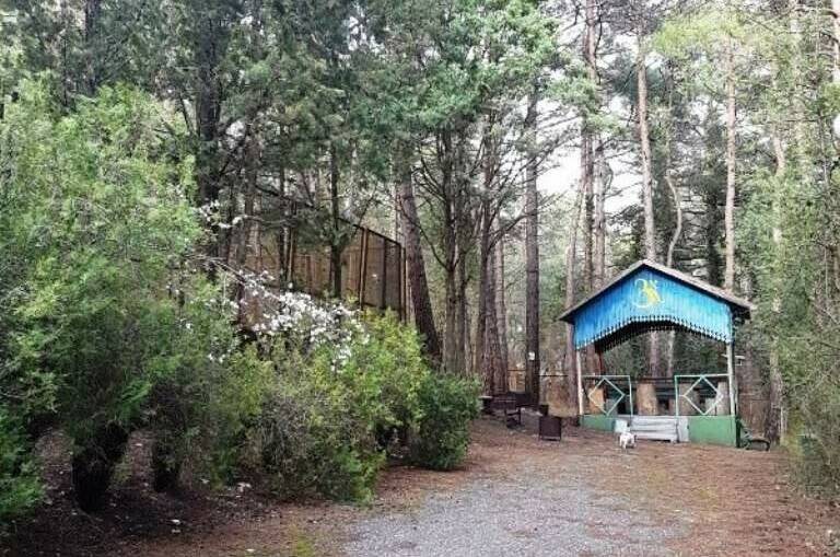 База отдыха «Джанхот»