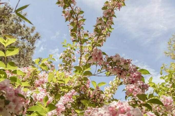 Гостевой дом «Солнечный»