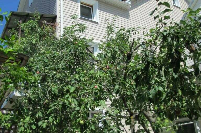 Гостевой дом «Золотой берег»