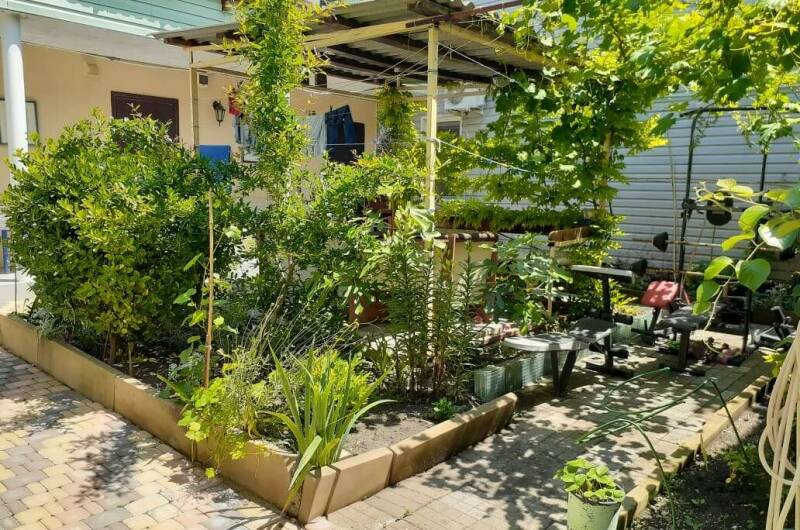 Гостевой дом «Стебель бамбука»