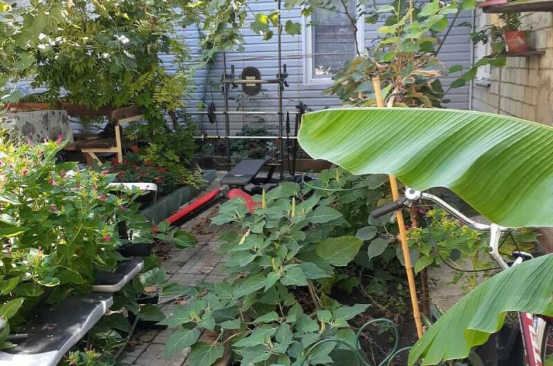 Гостевой дом «Стебель бамбука»