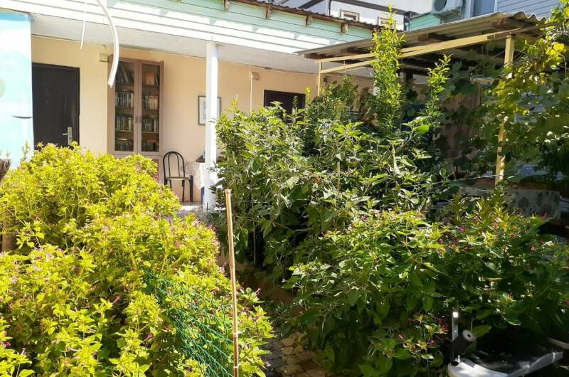 Гостевой дом «Стебель бамбука»