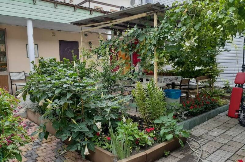 Гостевой дом «Стебель бамбука»