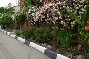 Изображение Гостиный дворик «Шанталь» #2