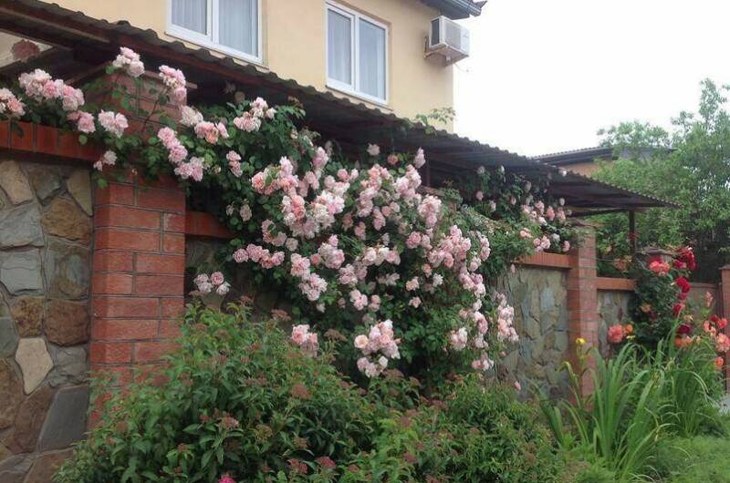 Гостиный дворик «Шанталь»