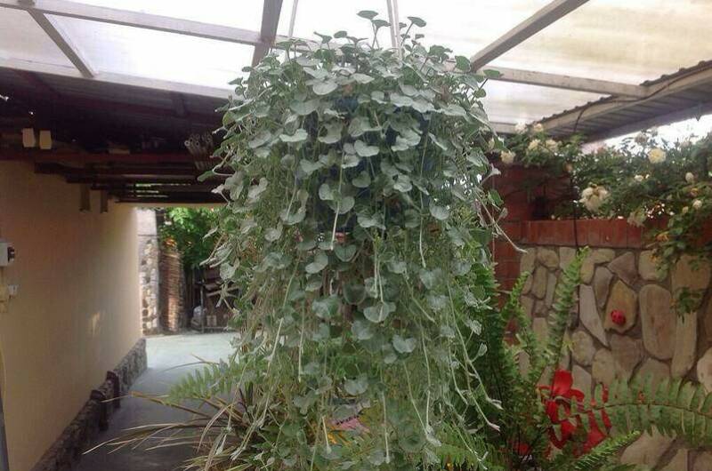 Гостиный дворик «Шанталь»